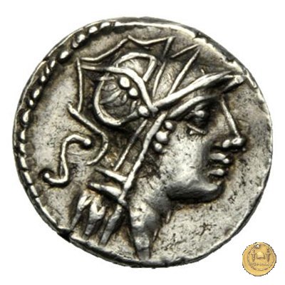 337/3 - denario D. Iunius L.f. Silanus 91 BC (Roma)