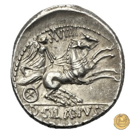 337/3 - denario D. Iunius L.f. Silanus 91 BC (Roma)