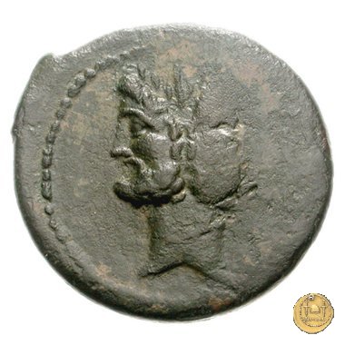 337/5 - asse D. Iunius L.f. Silanus 91 BC (Roma)