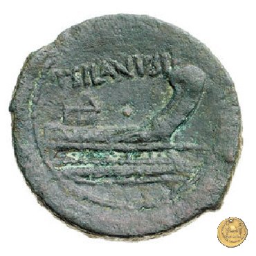 337/5 - asse D. Iunius L.f. Silanus 91 BC (Roma)