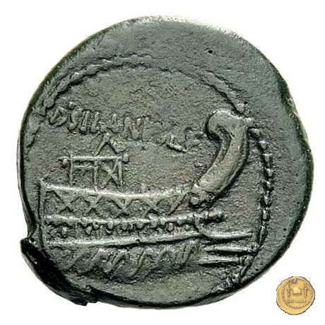 337/5 - asse D. Iunius L.f. Silanus 91 BC (Roma)