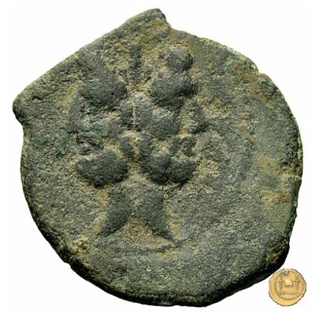 337/5 - asse D. Iunius L.f. Silanus 91 BC (Roma)