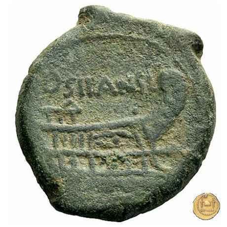 337/5 - asse D. Iunius L.f. Silanus 91 BC (Roma)