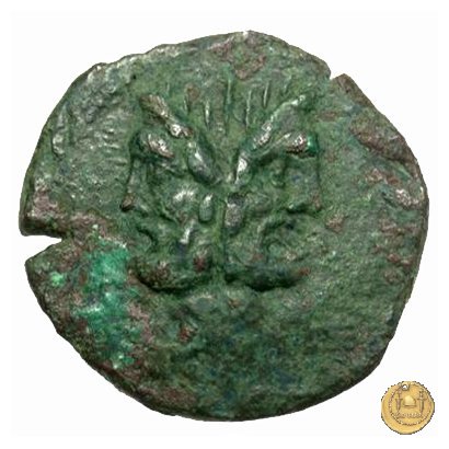 337/5 - asse D. Iunius L.f. Silanus 91 BC (Roma)