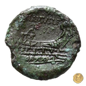 337/5 - asse D. Iunius L.f. Silanus 91 BC (Roma)