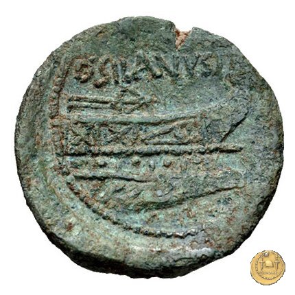 337/5 - asse D. Iunius L.f. Silanus 91 BC (Roma)