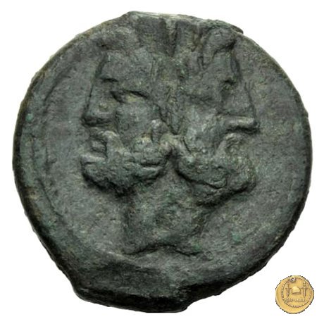 337/5 - asse D. Iunius L.f. Silanus 91 BC (Roma)