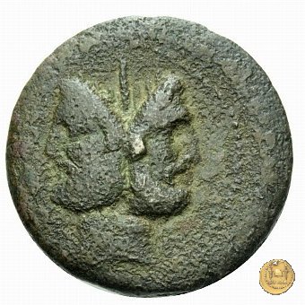 337/5 - asse D. Iunius L.f. Silanus 91 BC (Roma)