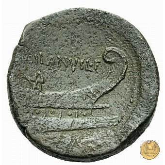 337/5 - asse D. Iunius L.f. Silanus 91 BC (Roma)