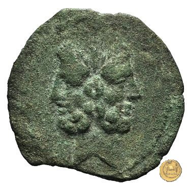 337/5 - asse D. Iunius L.f. Silanus 91 BC (Roma)