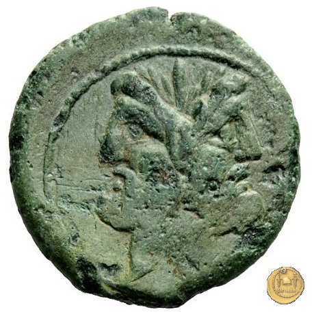 337/5 - asse D. Iunius L.f. Silanus 91 BC (Roma)