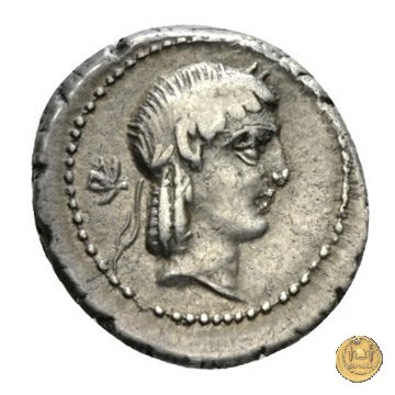 340/2 - quinario L. Calpurnius Piso Frugi 90 BC (Roma)