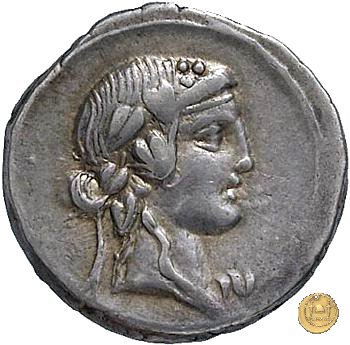 341/2 - denario Q. Titius 90 BC (Roma)