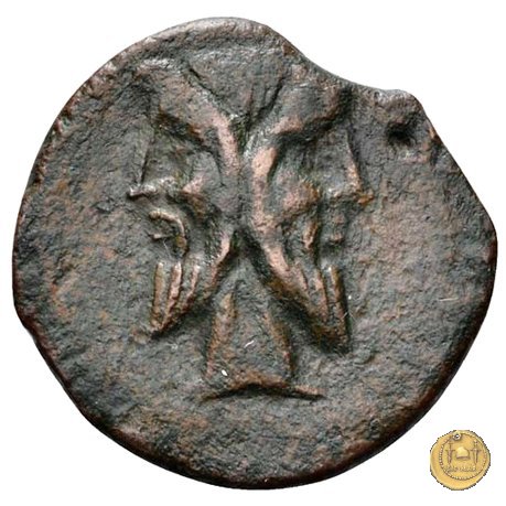 341/4 - asse Q. Titius 90 BC (Roma)