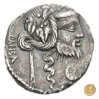 342/1 - denario C. Vibius C.f. Pansa 90 BC (Roma)