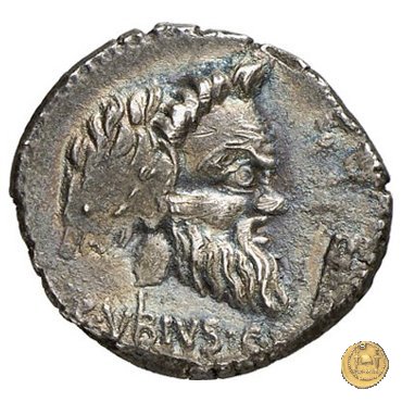 342/1 - denario C. Vibius C.f. Pansa 90 BC (Roma)