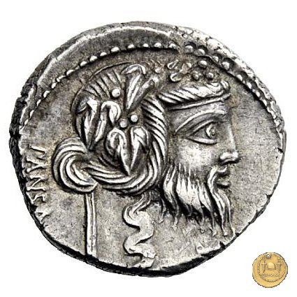 342/1 - denario C. Vibius C.f. Pansa 90 BC (Roma)