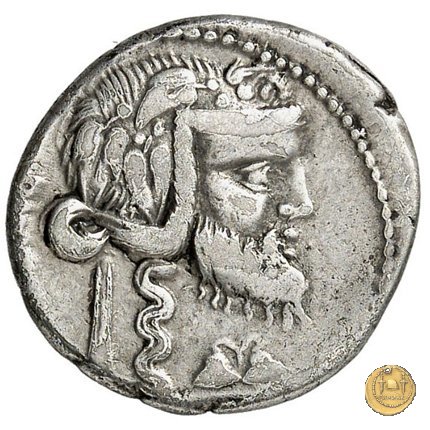 342/1 - denario C. Vibius C.f. Pansa 90 BC (Roma)