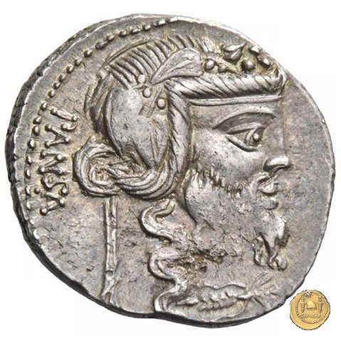 342/1 - denario C. Vibius C.f. Pansa 90 BC (Roma)