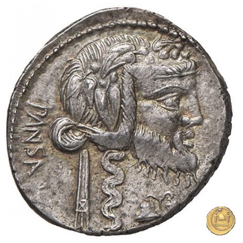 342/1 - denario C. Vibius C.f. Pansa 90 BC (Roma)