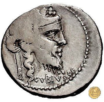 342/2 - denario C. Vibius C.f. Pansa 90 BC (Roma)