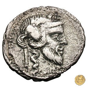 342/2 - denario C. Vibius C.f. Pansa 90 BC (Roma)