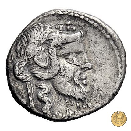 342/2 - denario C. Vibius C.f. Pansa 90 BC (Roma)