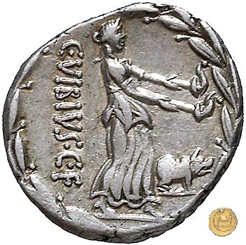342/3 - denario C. Vibius C.f. Pansa 90 a.C. (Roma)