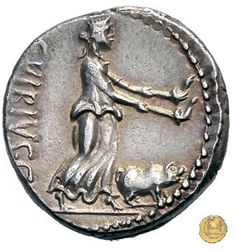 342/3 - denario C. Vibius C.f. Pansa 90 BC (Roma)