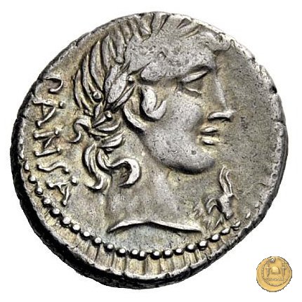 342/3 - denario C. Vibius C.f. Pansa 90 BC (Roma)