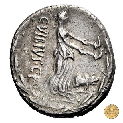 342/3 - denario C. Vibius C.f. Pansa 90 BC (Roma)