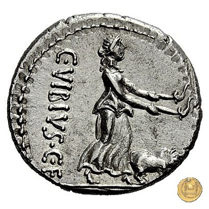 342/3 - denario C. Vibius C.f. Pansa 90 BC (Roma)