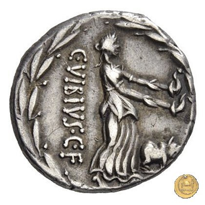 342/3 - denario C. Vibius C.f. Pansa 90 BC (Roma)