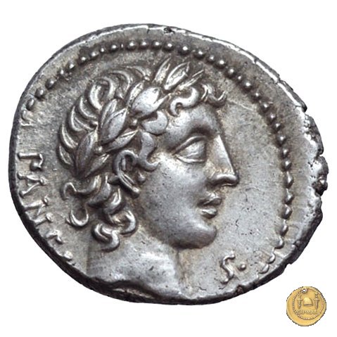 342/3 - denario C. Vibius C.f. Pansa 90 BC (Roma)