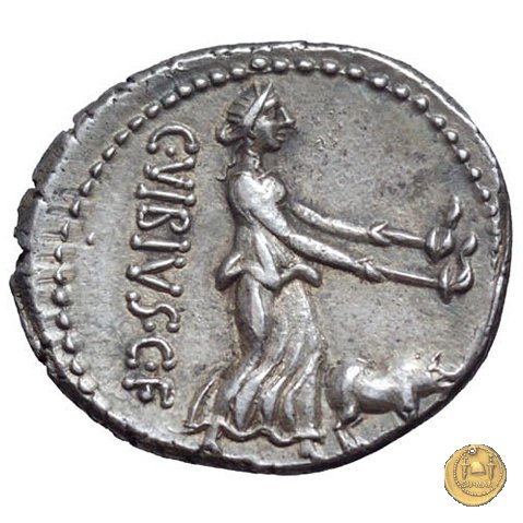 342/3 - denario C. Vibius C.f. Pansa 90 BC (Roma)