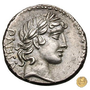 342/4 - denario C. Vibius C.f. Pansa 90 BC (Roma)