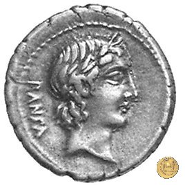 342/5 - denario C. Vibius C.f. Pansa 90 BC (Roma)