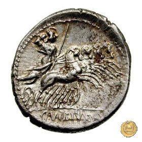 342/5 - denario C. Vibius C.f. Pansa 90 BC (Roma)