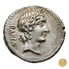 342/5 - denario C. Vibius C.f. Pansa 90 BC (Roma)