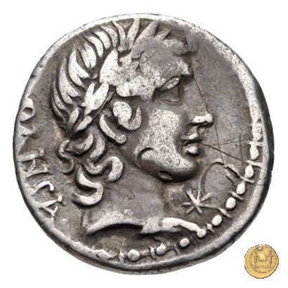 342/5 - denario C. Vibius C.f. Pansa 90 BC (Roma)