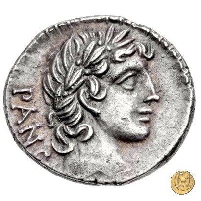 342/5 - denario C. Vibius C.f. Pansa 90 BC (Roma)