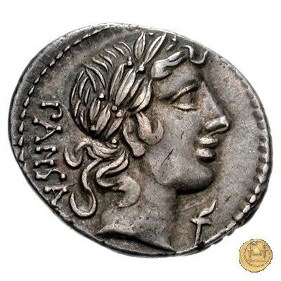 342/5 - denario C. Vibius C.f. Pansa 90 BC (Roma)