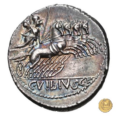 342/5 - denario C. Vibius C.f. Pansa 90 BC (Roma)