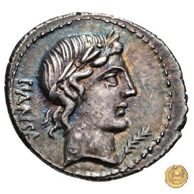 342/5 - denario C. Vibius C.f. Pansa 90 BC (Roma)