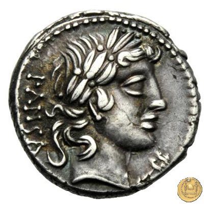 342/5 - denario C. Vibius C.f. Pansa 90 BC (Roma)