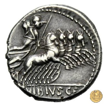 342/5 - denario C. Vibius C.f. Pansa 90 BC (Roma)