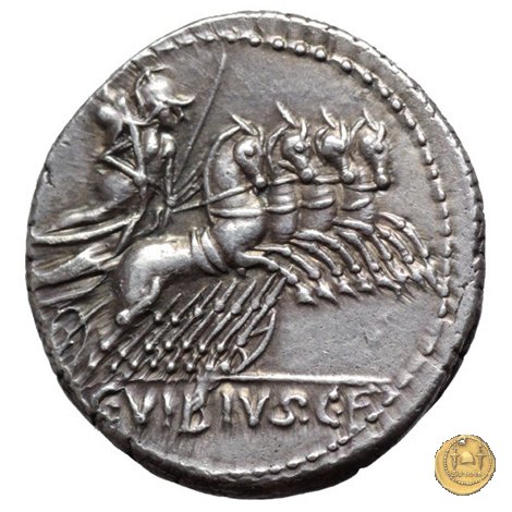 342/5 - denario C. Vibius C.f. Pansa 90 BC (Roma)