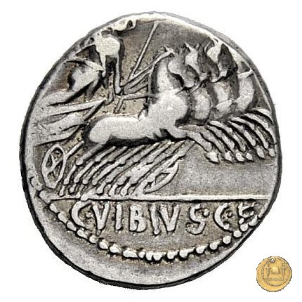 342/5 - denario C. Vibius C.f. Pansa 90 BC (Roma)