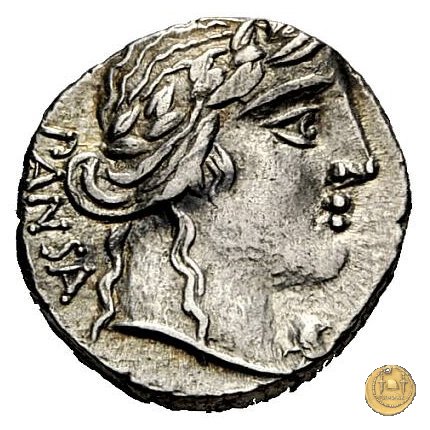 342/5 - denario C. Vibius C.f. Pansa 90 BC (Roma)