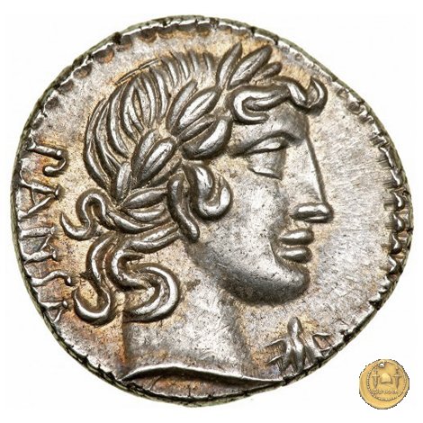 342/5 - denario C. Vibius C.f. Pansa 90 a.C. (Roma)